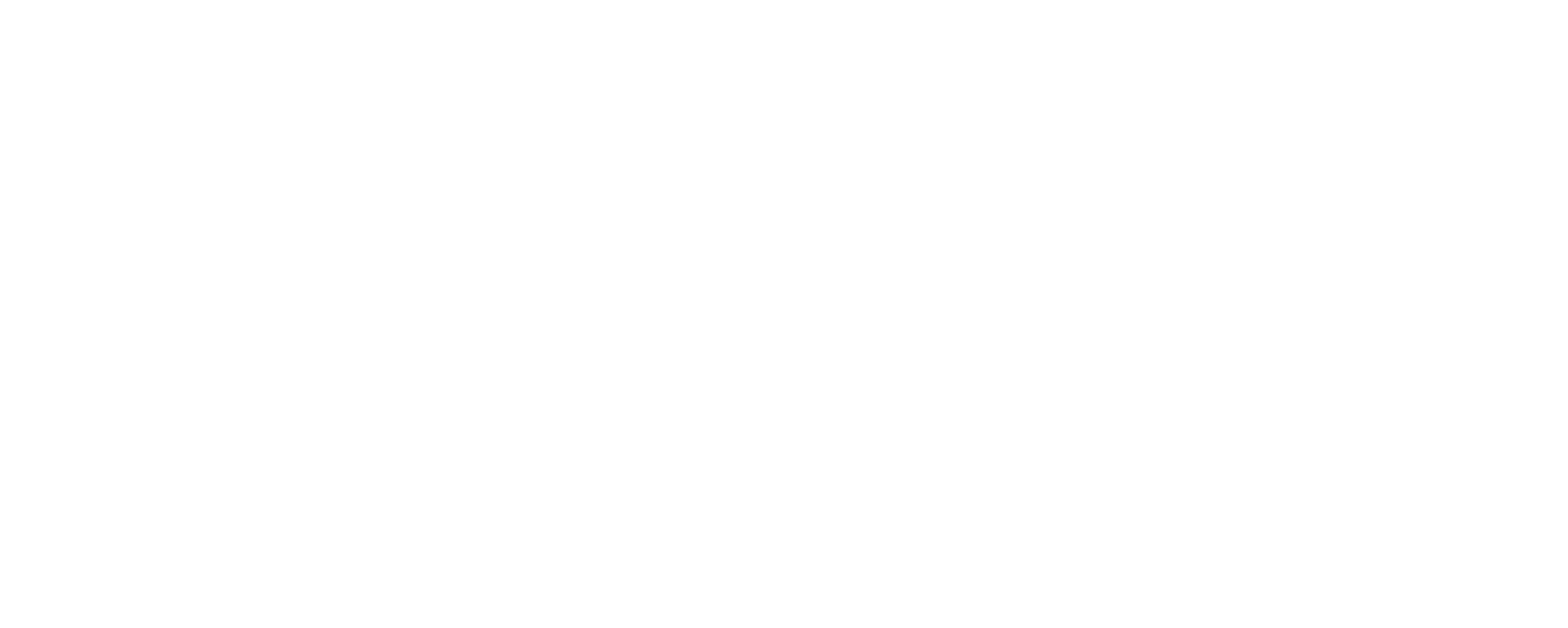 Soluciones FEI